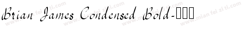 Brian James Condensed Bold字体转换